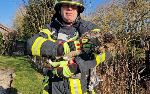 FFW Fredenbeck: Katze erfolgreich gerettet - Foto: presseportal.de