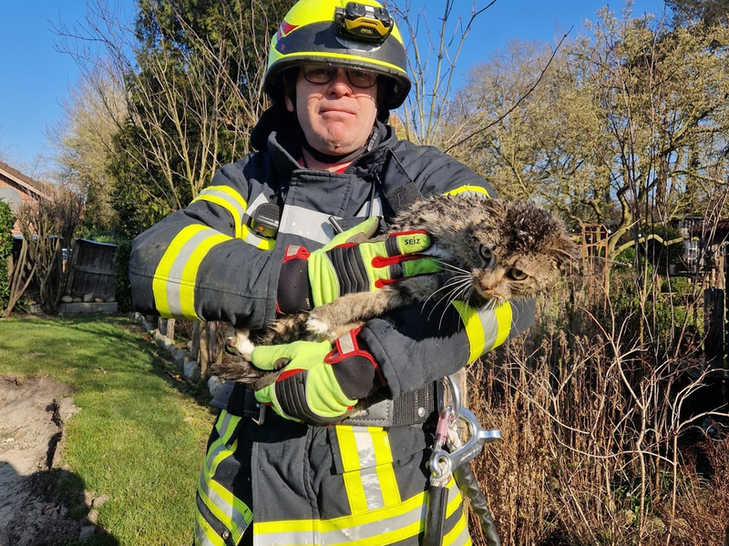 FFW Fredenbeck: Katze erfolgreich gerettet - Foto: presseportal.de