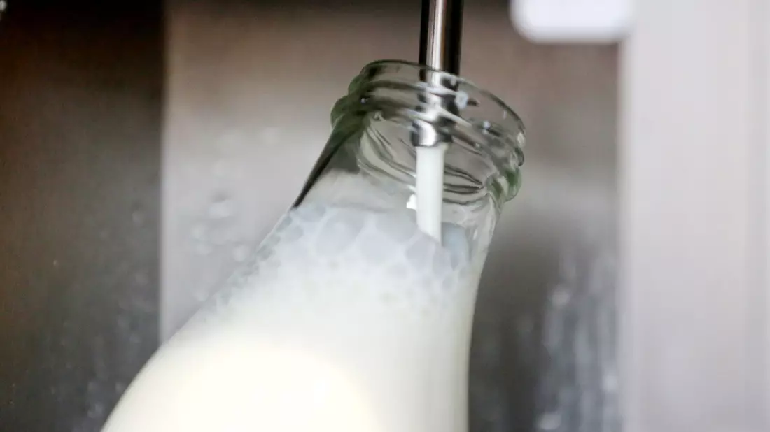Rohmilch bekommt man direkt ab Hof. (Archivbild) - Bild: Roland Weihrauch/dpa