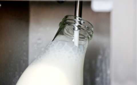 Rohmilch bekommt man direkt ab Hof. (Archivbild) - Foto: Roland Weihrauch/dpa
