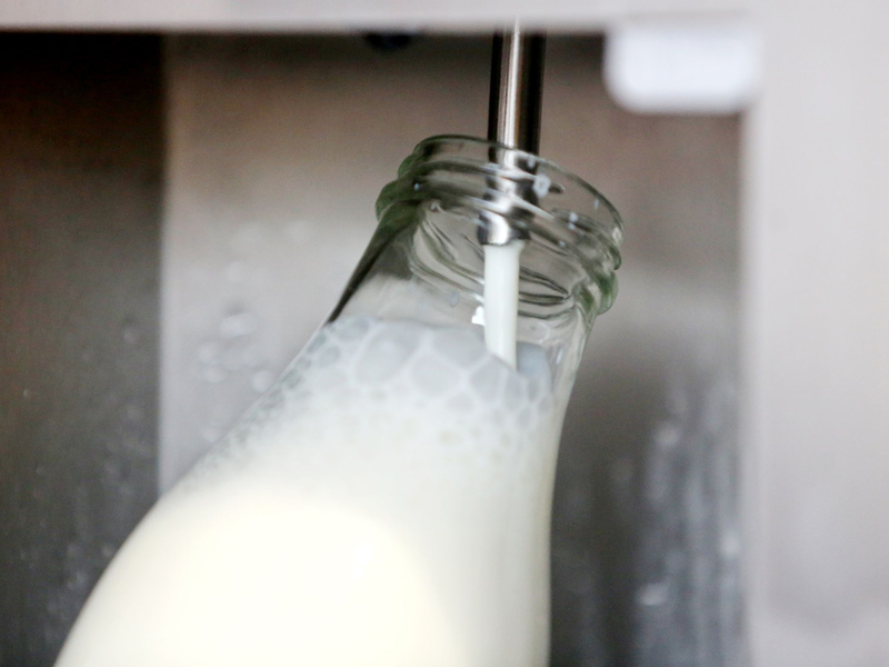 Rohmilch bekommt man direkt ab Hof. (Archivbild) - Foto: Roland Weihrauch/dpa