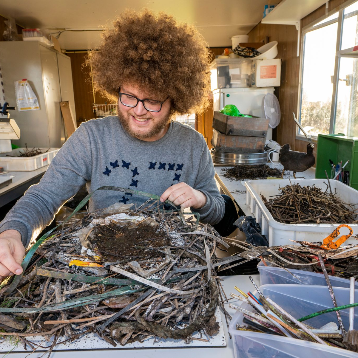Auke-Florian Hiemstra untersucht Vogelnester wissenschaftlich und macht dabei erstaunliche Entdeckungen. - Foto: Hielco Kuipers/Fotoprodukties Leiden/dpa