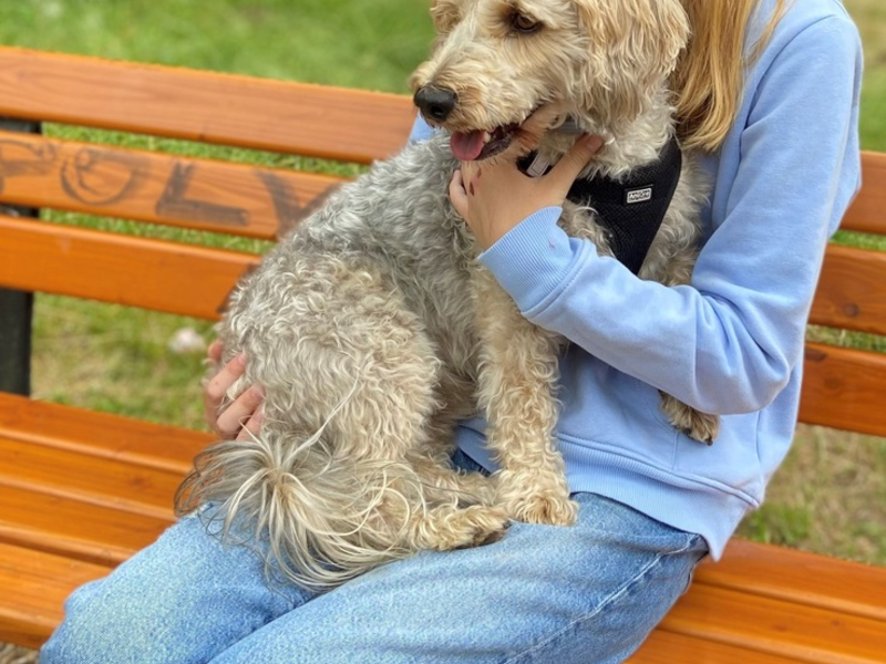 POL-GI: Wettenberg: 16-jährige Zoe Emily Eder aus Wettenberg Vermisst - Foto: presseportal.de