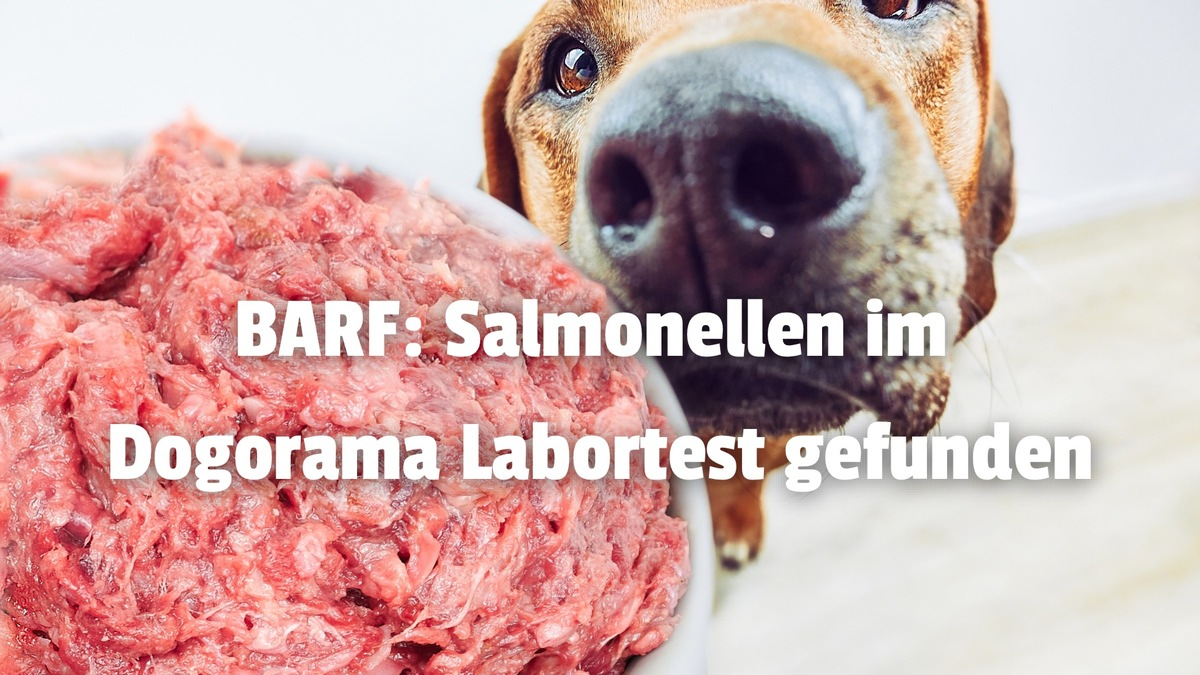 Salmonellen und E. coli in BARF durch den Dogorama-Produkttest nachgewiesen! - Foto: presseportal.de