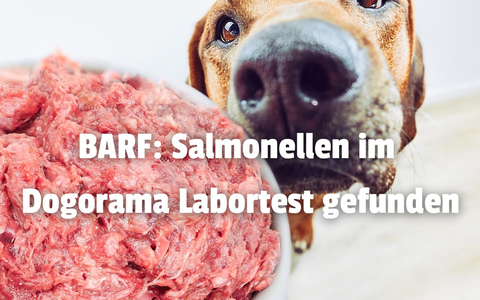 Salmonellen und E. coli in BARF durch den Dogorama-Produkttest nachgewiesen! - Foto: presseportal.de
