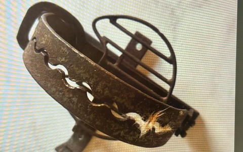 POL-PDWIL: Fallensteller - Foto: presseportal.de