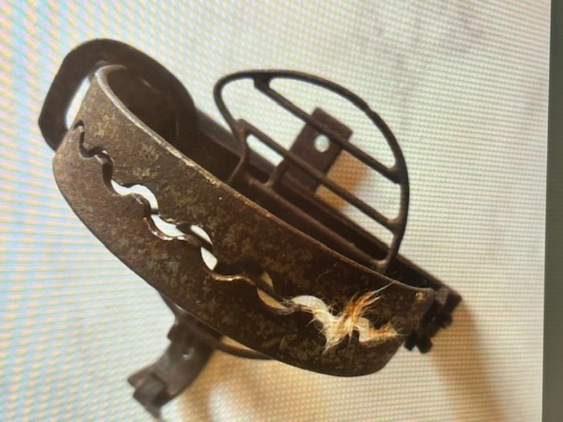 POL-PDWIL: Fallensteller - Foto: presseportal.de