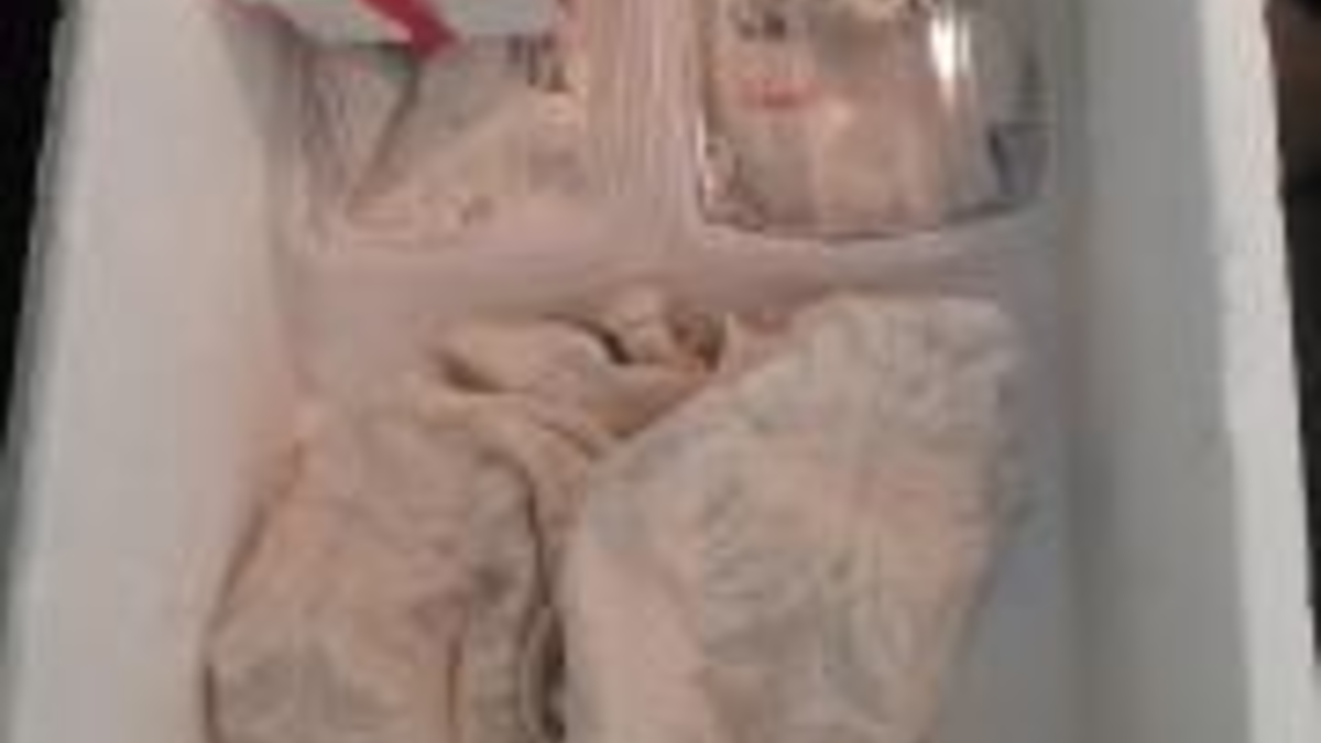 BPOL-FL: Handewitt - Schlangen, Lebensmittel und hochwertiges Werkzeug - Feststellungen der Bundespolizei bei Kontrollen an der Grenze - Foto: presseportal.de