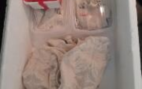 BPOL-FL: Handewitt - Schlangen, Lebensmittel und hochwertiges Werkzeug - Feststellungen der Bundespolizei bei Kontrollen an der Grenze - Foto: presseportal.de