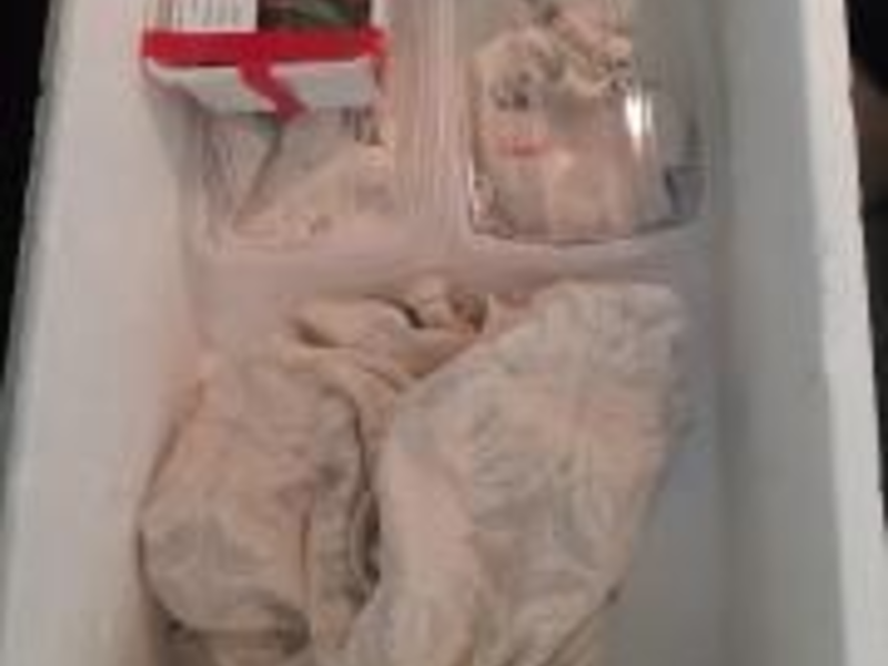 BPOL-FL: Handewitt - Schlangen, Lebensmittel und hochwertiges Werkzeug - Feststellungen der Bundespolizei bei Kontrollen an der Grenze - Foto: presseportal.de