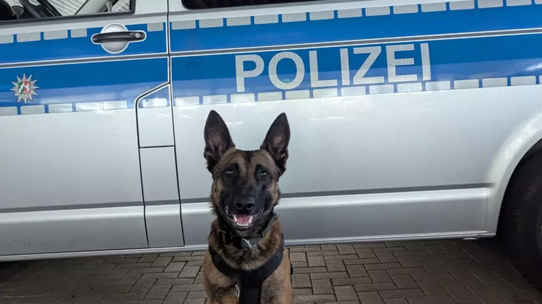 POL-E: Essen: Kupferdiebe auf frischer Tat ertappt - Angriff scheitert an Diensthund Rudi - Bild: presseportal.de