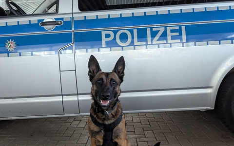 POL-E: Essen: Kupferdiebe auf frischer Tat ertappt - Angriff scheitert an Diensthund Rudi - Foto: presseportal.de POL-E: Essen: Kupferdiebe auf frischer Tat ertappt - Angriff scheitert an Diensthund Rudi - Foto: presseportal.de