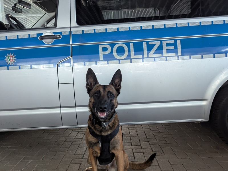 POL-E: Essen: Kupferdiebe auf frischer Tat ertappt - Angriff scheitert an Diensthund Rudi - Foto: presseportal.de