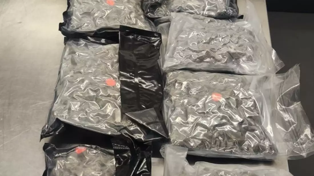HZA-S: 5,3 Kilogramm Marihuana erschnüffelt / Stuttgarter Zoll stoppt Drogenschmuggel aus Barcelona - Bild: presseportal.de
