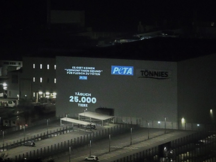 Kein Recht auf Mord: PETA zeigt drei der größten deutschen Schlachtbetriebe an / PETA: Tötung von Tieren zu Nahrungszwecken ist gesetzeswidrig - Foto: presseportal.de