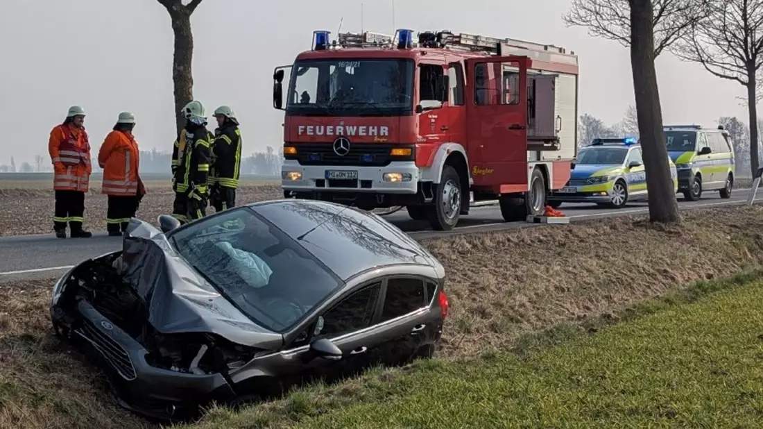 POL-HI: Baumunfall fordert zwei Verletzte - Bild: presseportal.de