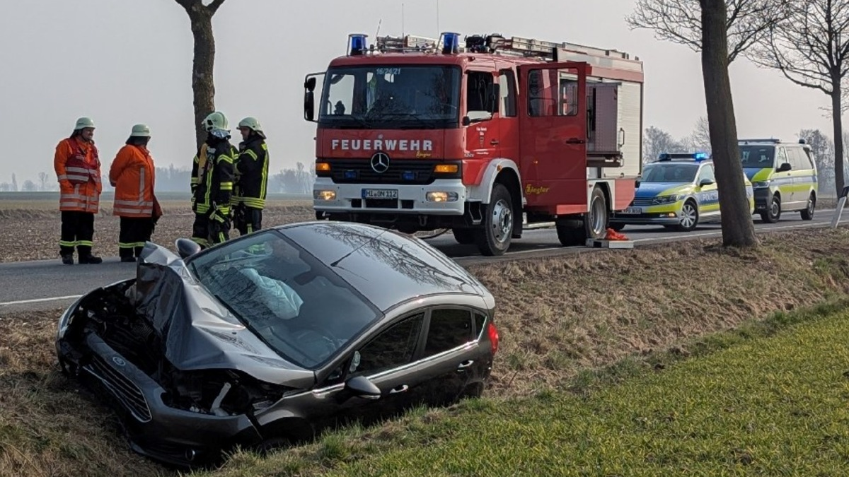 POL-HI: Baumunfall fordert zwei Verletzte - Foto: presseportal.de