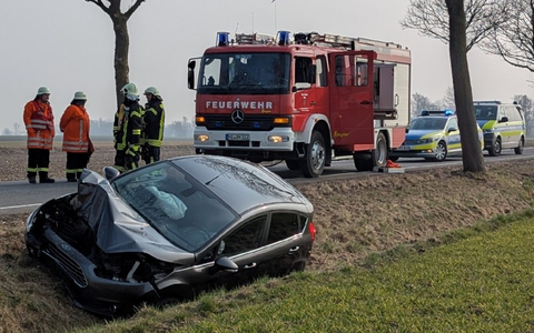 POL-HI: Baumunfall fordert zwei Verletzte - Foto: presseportal.de