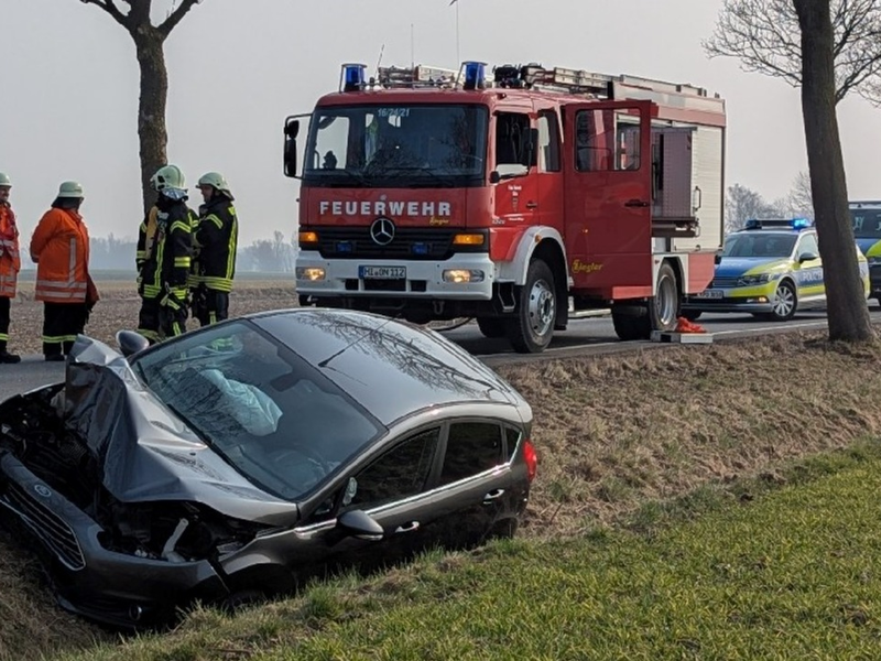 POL-HI: Baumunfall fordert zwei Verletzte - Foto: presseportal.de