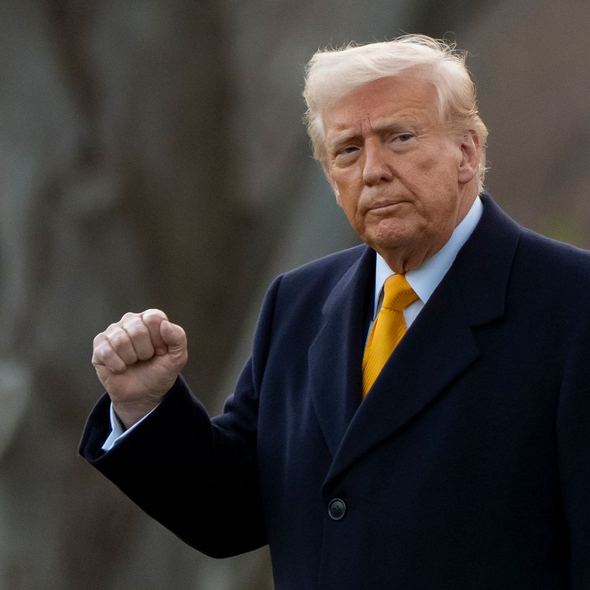 US-Präsident Trump setzt auf Zölle. (Archivbild) - Foto: Alex Brandon/AP/dpa