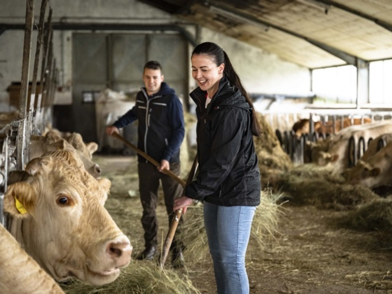 Erleben, verstehen, mitmachen: Aktionstag Landwirt für einen Tag am 24. Mai 2025 - Foto: presseportal.de