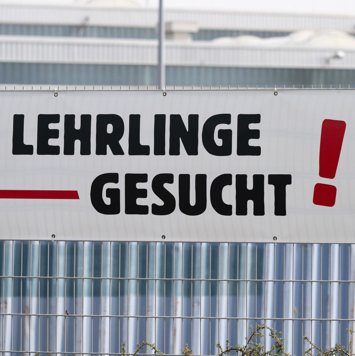 Trotz mauer Konjunktur suchen viele Handwerksbetriebe nach wie vor händeringend Nachwuchs. (Symbolbild)  - Foto: Sebastian Kahnert/dpa