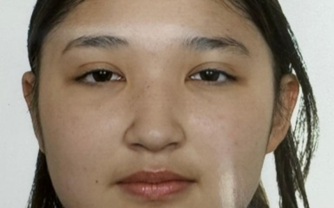 POL-SE: Pinneberg - Öffentlichkeitsfahndung nach vermisster 15-jährigen Pinnebergin - Foto: presseportal.de