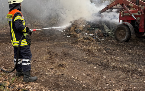 FW-ROW: Brennt Unrat im Wald - Foto: presseportal.de