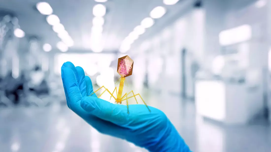 Rettende Viren und das Mikrobiom des Menschen in WissenHoch2 in 3sat / Mit einer neuen Wissenschaftsdoku und einer Ausgabe von SCOBEL - Bild: presseportal.de