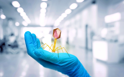 Rettende Viren und das Mikrobiom des Menschen in WissenHoch2 in 3sat / Mit einer neuen Wissenschaftsdoku und einer Ausgabe von SCOBEL - Foto: presseportal.de