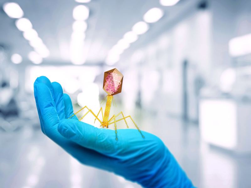 Rettende Viren und das Mikrobiom des Menschen in WissenHoch2 in 3sat / Mit einer neuen Wissenschaftsdoku und einer Ausgabe von SCOBEL - Foto: presseportal.de