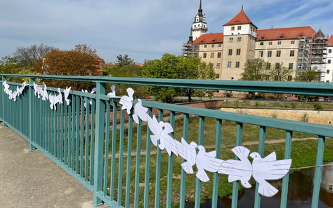 Torgau - Elbe Day - Foto: Stadtverwaltung Torgau über pressetext.de