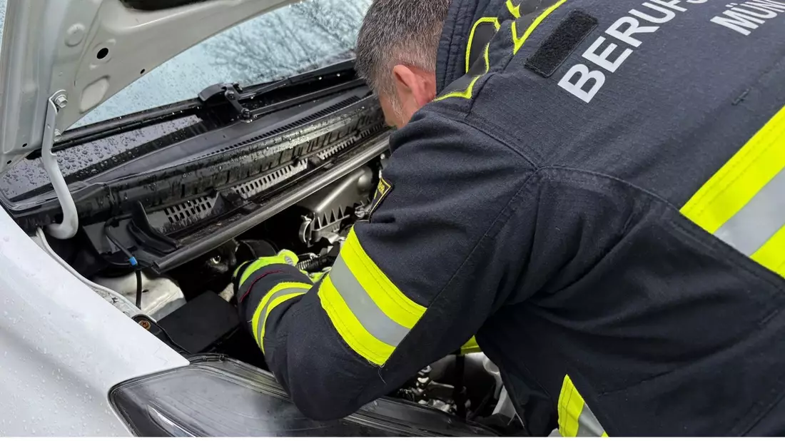 FW-M: Schwarzer Kater ohne Glück (Obersendling) - Bild: presseportal.de