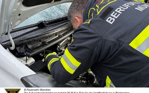 FW-M: Schwarzer Kater ohne Glück (Obersendling) - Foto: presseportal.de