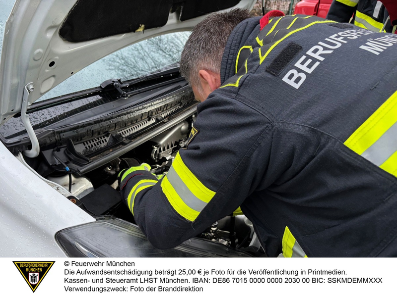 FW-M: Schwarzer Kater ohne Glück (Obersendling) - Foto: presseportal.de