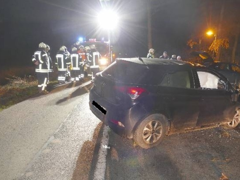 POL-CUX: Verkehrsunfall in Bülkau - Junge Frau kommt aufgrund von Sekundenschlaf von der Fahrbahn ab und verletzt sich leicht (Foto im Anhang) - Foto: presseportal.de