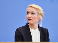 Ines Schwerdtner (Archiv) - Foto: über dts Nachrichtenagentur