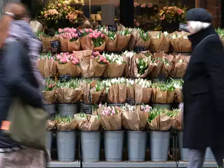 Für Tulpen müssen Verbraucher in diesem Jahr tiefer in die Tasche greifen. (Archivbild) - Foto: Sebastian Willnow/dpa