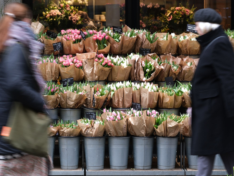 Für Tulpen müssen Verbraucher in diesem Jahr tiefer in die Tasche greifen. (Archivbild) - Foto: Sebastian Willnow/dpa