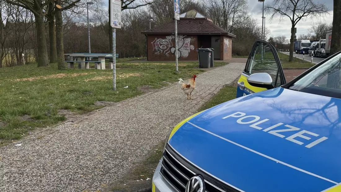 POL-LER: Pressemitteilung der Polizeiinspektion Leer/Emden vom 16.03.2025 - Bild: presseportal.de