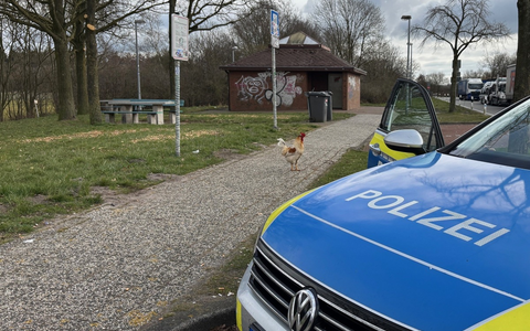 POL-LER: Pressemitteilung der Polizeiinspektion Leer/Emden vom 16.03.2025 - Foto: presseportal.de