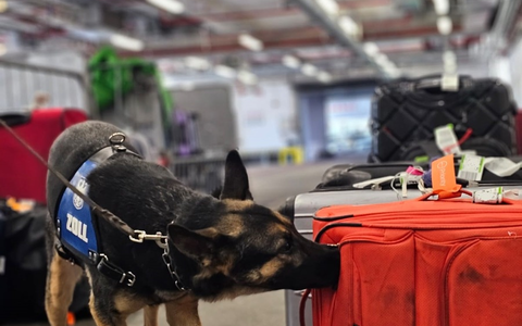 HZA-F: 150 Kilogramm Cannabis durch Frankfurter Flughafenzoll beschlagnahmt - drei Rauschgiftspürhunde erschnüffeln Rauschgift in sechs Koffern - Foto: presseportal.de