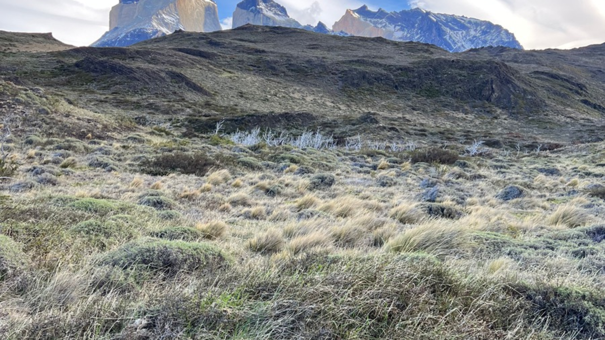 Trendreport: Die Luxusdestinationen 2025 kuratiert von FYNE Travel - Foto: presseportal.de