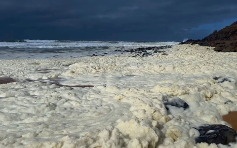 Die betroffenen Strände wurden zunächst gesperrt. - Foto: Uncredited/Australian Broadcasting Corp/AP/dpa Die betroffenen Strände wurden zunächst gesperrt. - Foto: Uncredited/Australian Broadcasting Corp/AP/dpa
