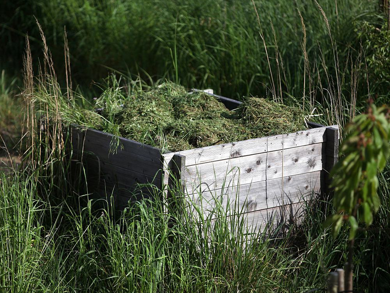 Hochbeet mit Rasenschnitt (Archiv) - Foto: über dts Nachrichtenagentur