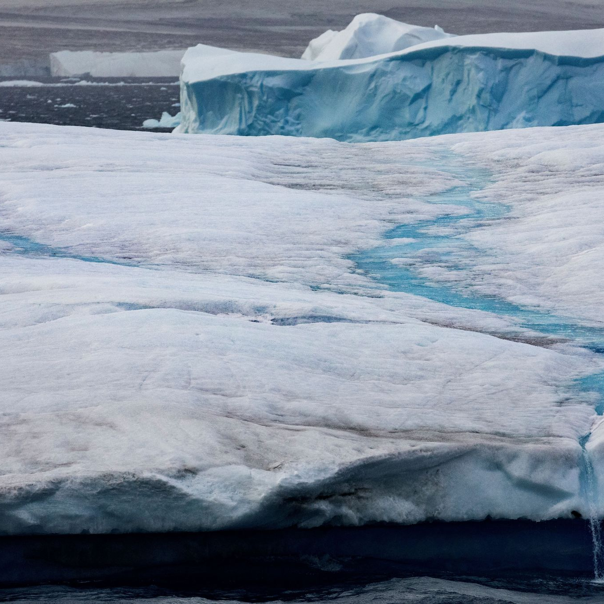 Ein Pinguin auf dem Eis des Weddellmeers in der Antarktis, dem größten der etwa 14 Randmeere des Südlichen Ozeans. - Foto: John Weller/dpa