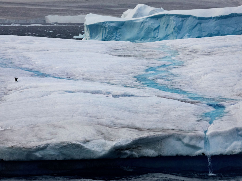 Ein Pinguin auf dem Eis des Weddellmeers in der Antarktis, dem größten der etwa 14 Randmeere des Südlichen Ozeans. - Foto: John Weller/dpa