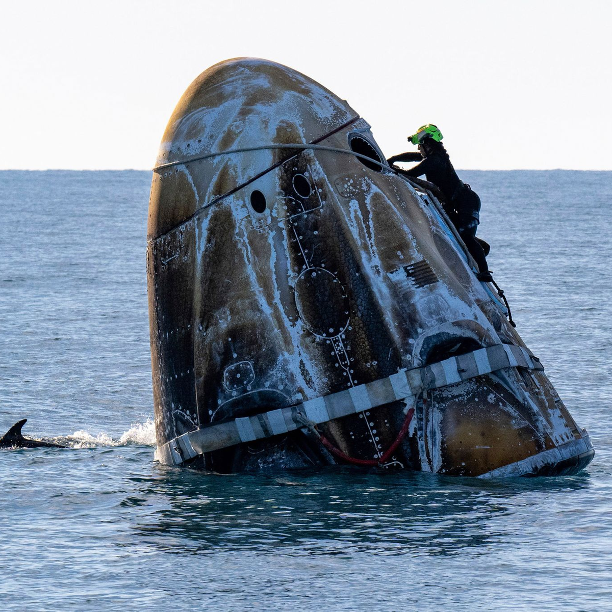Williams zeigte sich nach der Rückkehr bestens gelaunt. - Foto: Keegan Barber/NASA/AP/dpa