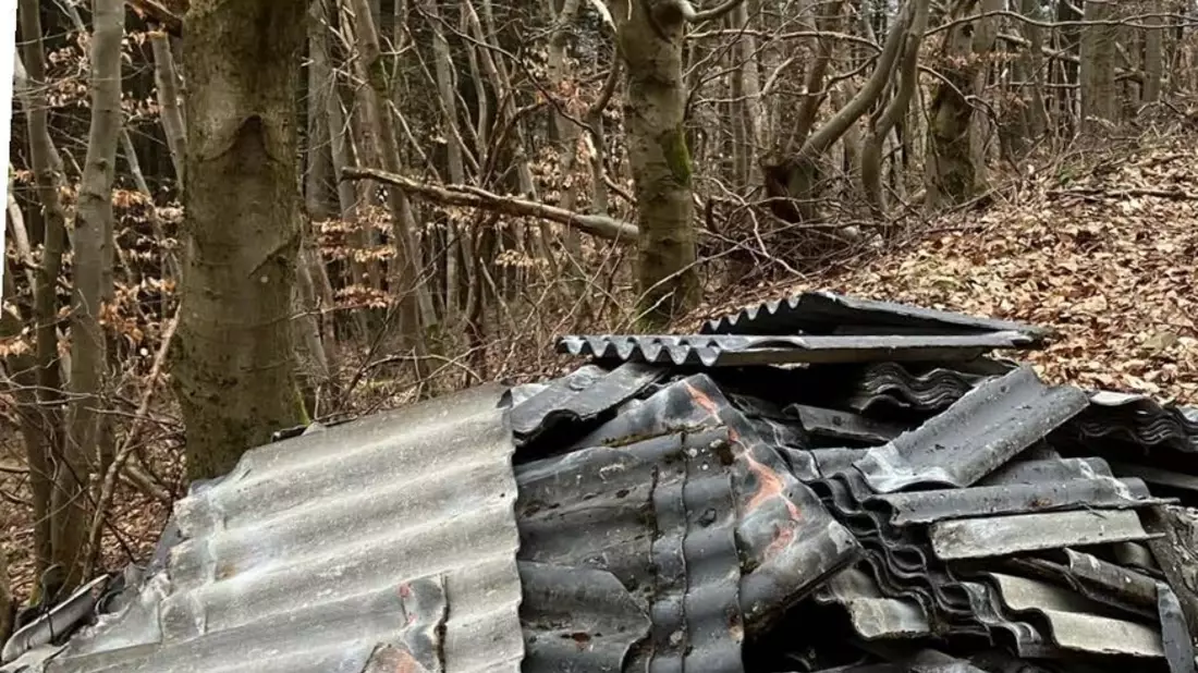 POL-MR: Eternitplatten am Waldweg + Eingreifenden Zeugen mit Pfefferspray attackiert + Scheibe an Ford beschädigt + Betrüger ergaunern Wertsachen - Zeugensuche - Bild: presseportal.de