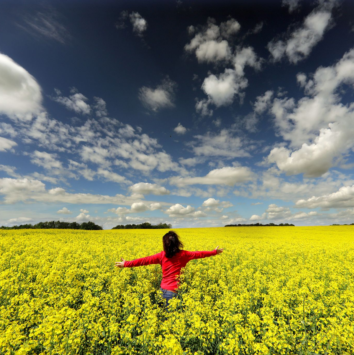 Deutschland klettert im Glücks-Ranking auf Platz 22. (Symbolbild) - Foto: Wolfgang Kumm/dpa